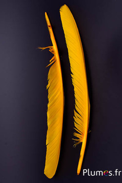 Cygne - 35-40 cm - jaune
